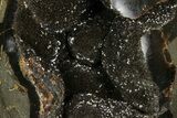Septarian Dragon Egg Geode - Black Crystals #172809-4